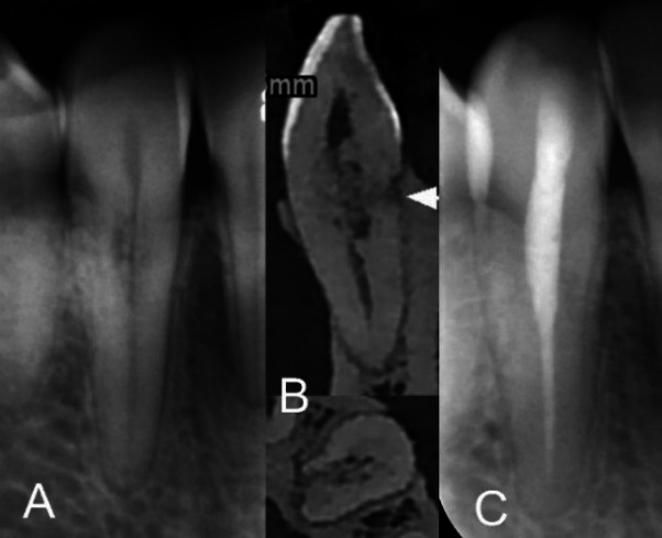 Figure 6