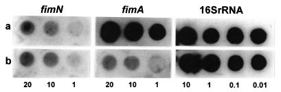 FIG. 5