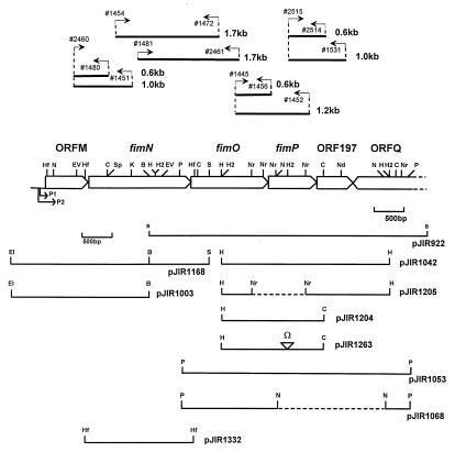 FIG. 1