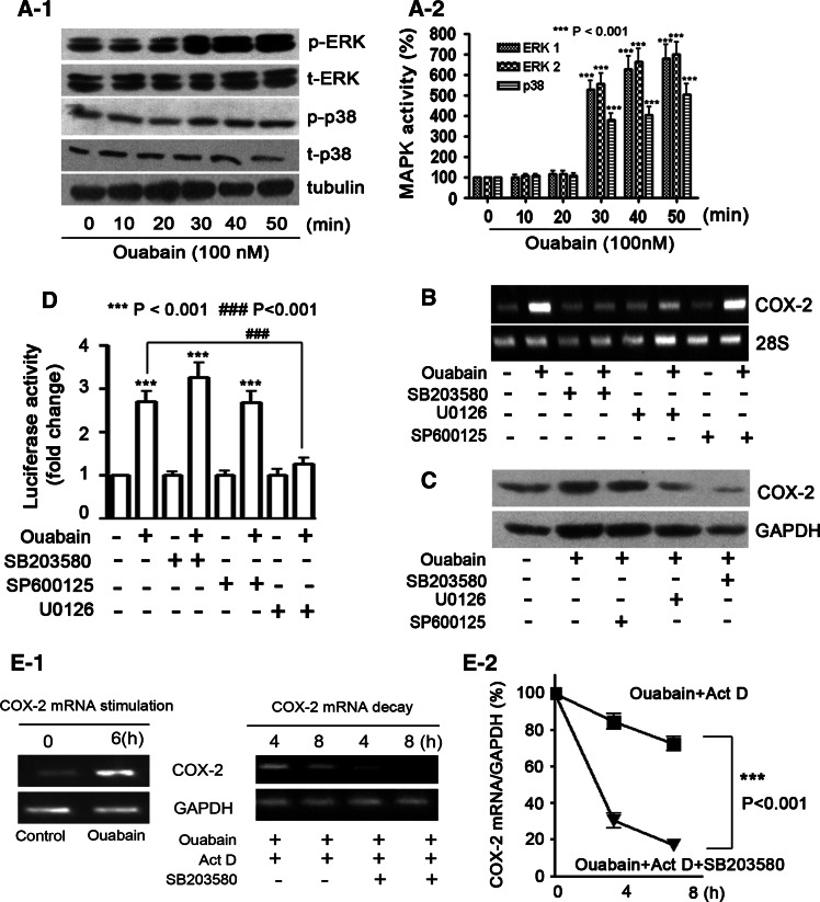 Fig. 7