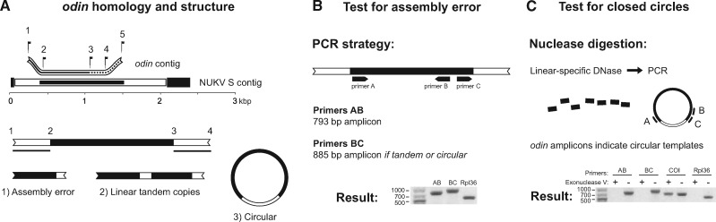 Figure 2.