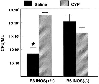 FIG. 6