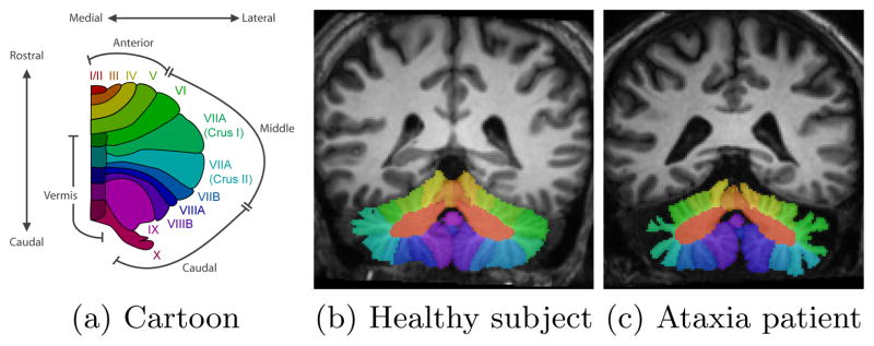 Fig. 1