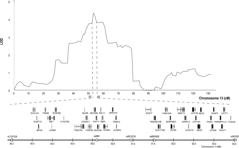 Fig. 1