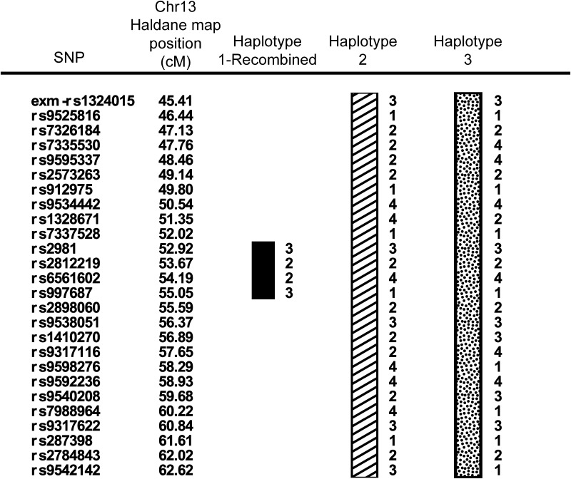 Fig. 2