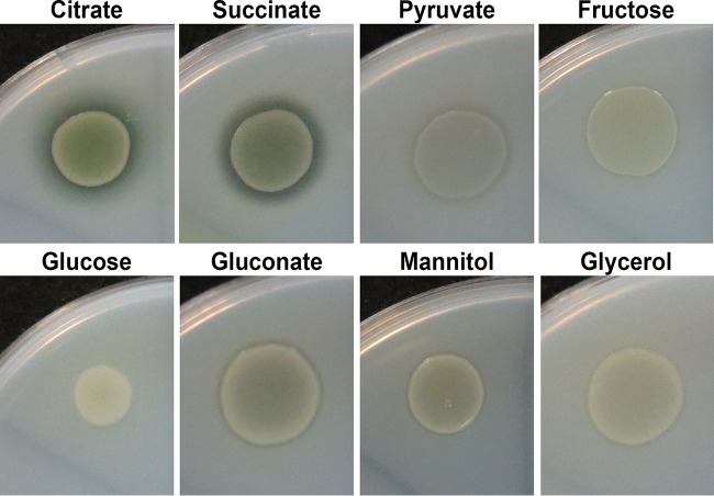 FIG 1