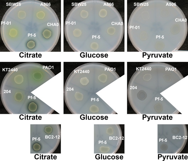 FIG 6