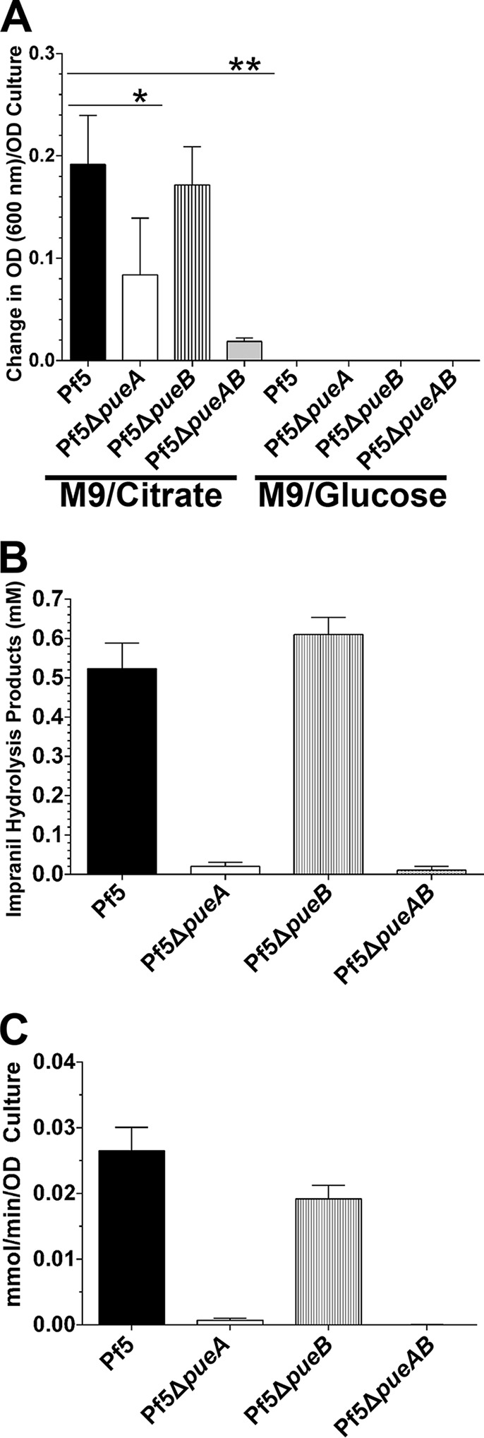 FIG 5