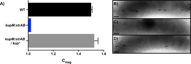 FIG 5