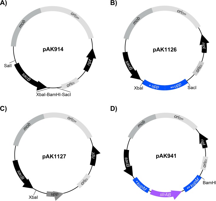 FIG 2