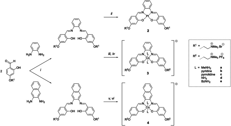 Scheme 1