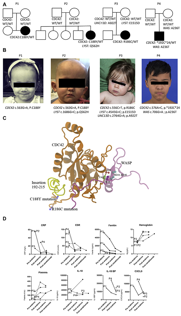 FIG 1.