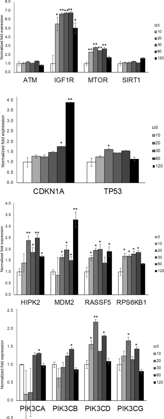 Figure 2