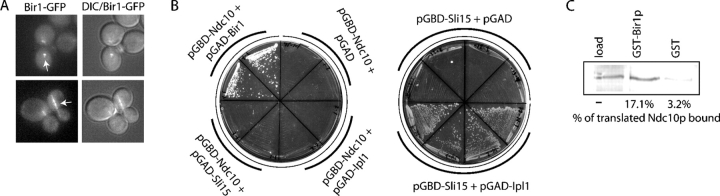 Figure 7.