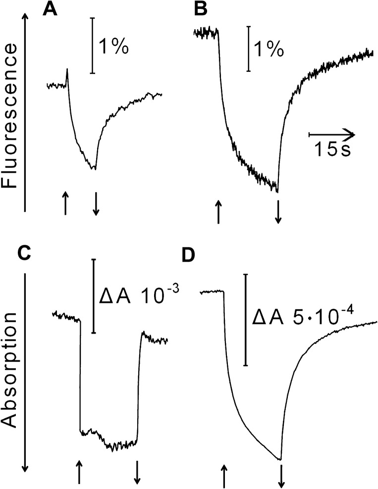 Fig. 7.