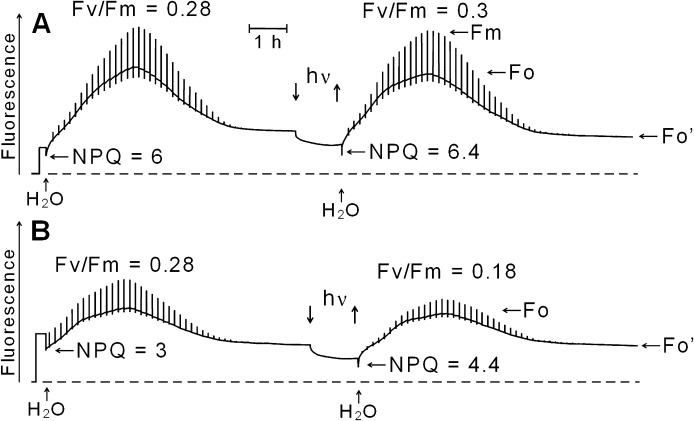 Fig. 6.