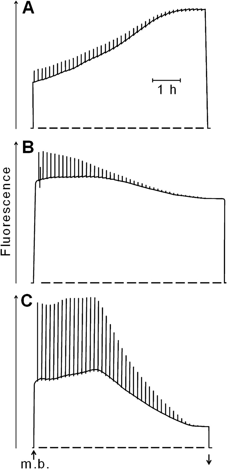 Fig. 5.