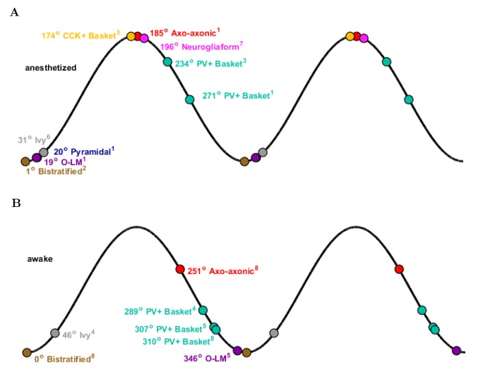 Figure 5—figure supplement 2.