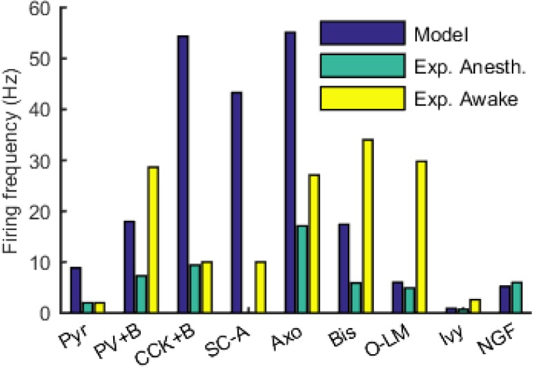 Figure 5—figure supplement 1.