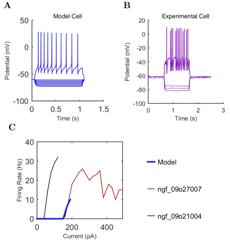 Appendix 1—figure 15.