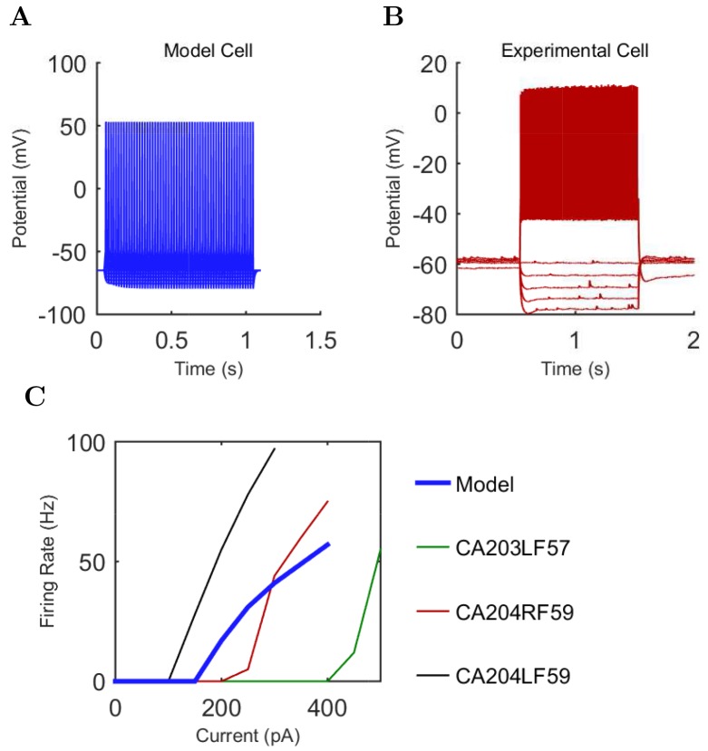 Appendix 1—figure 7.