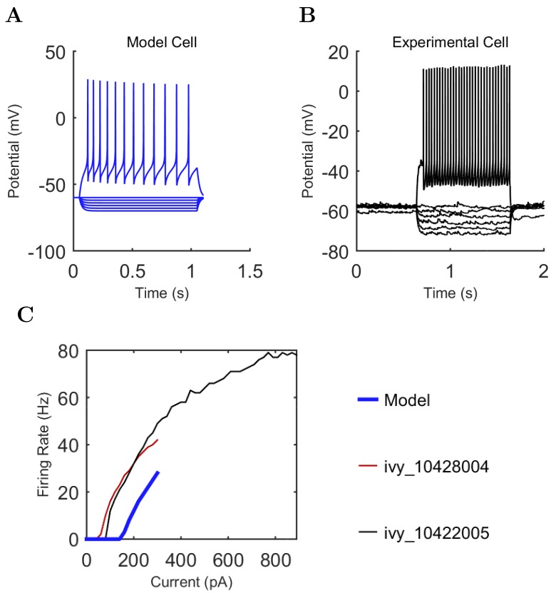 Appendix 1—figure 13.