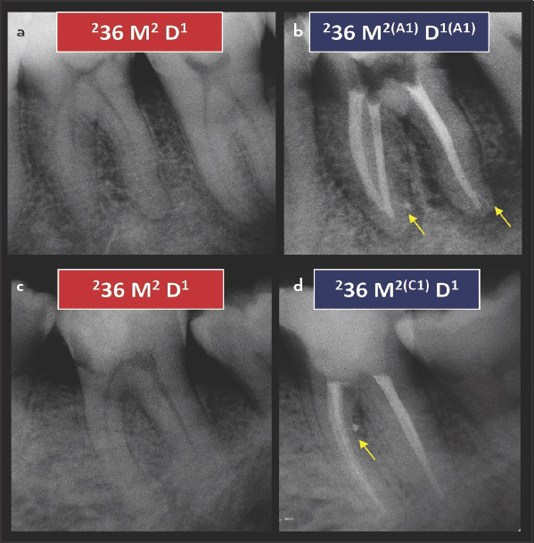 Figure 20