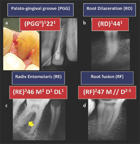 Figure 9