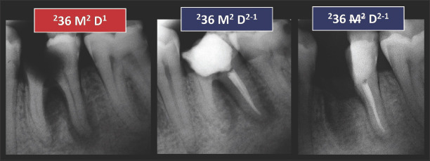 Figure 19