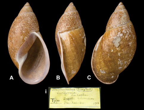 Figure 14.