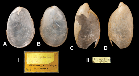 Figure 10.