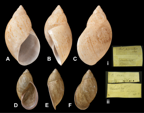 Figure 20.
