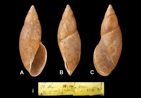 Figure 19.