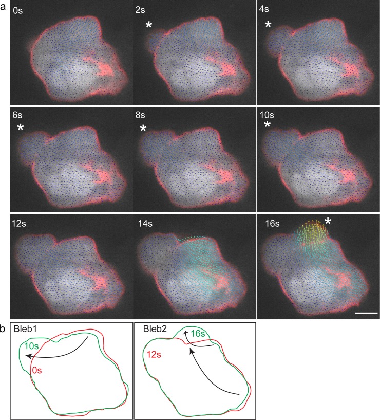 Fig 3