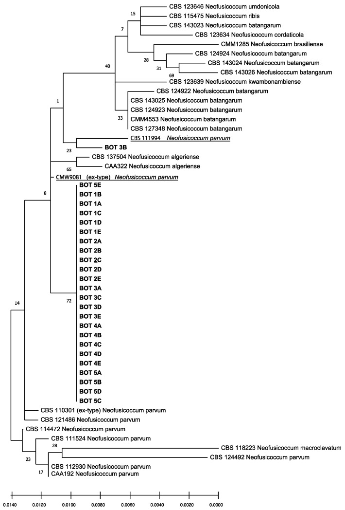 Figure 6