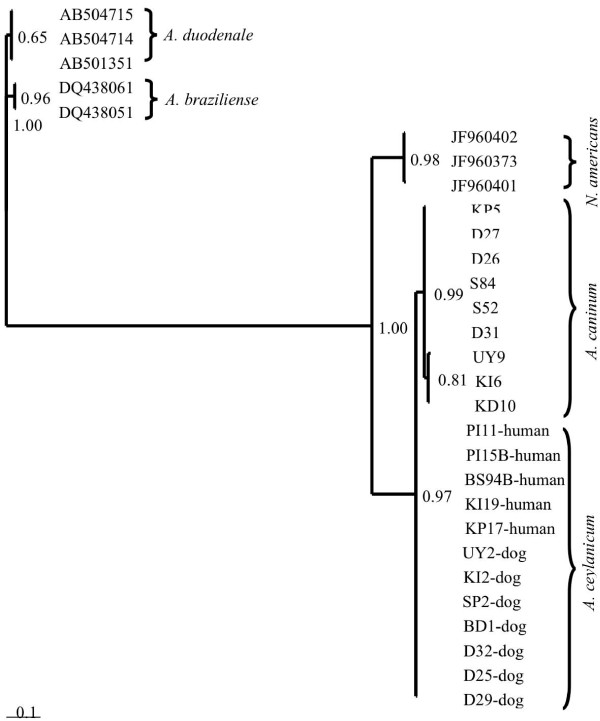 Figure 2