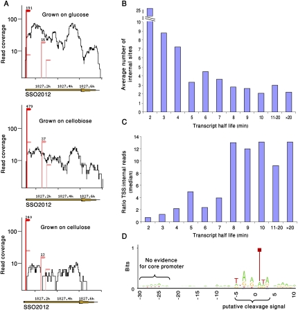 Figure 4.