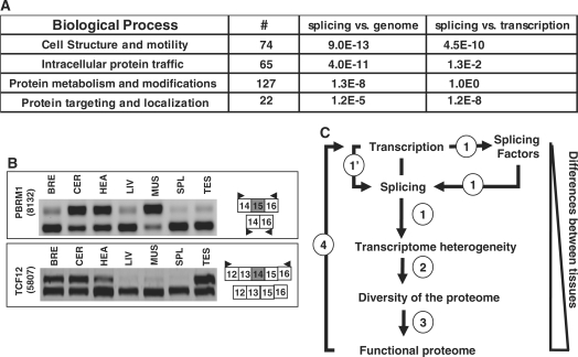 Figure 7.