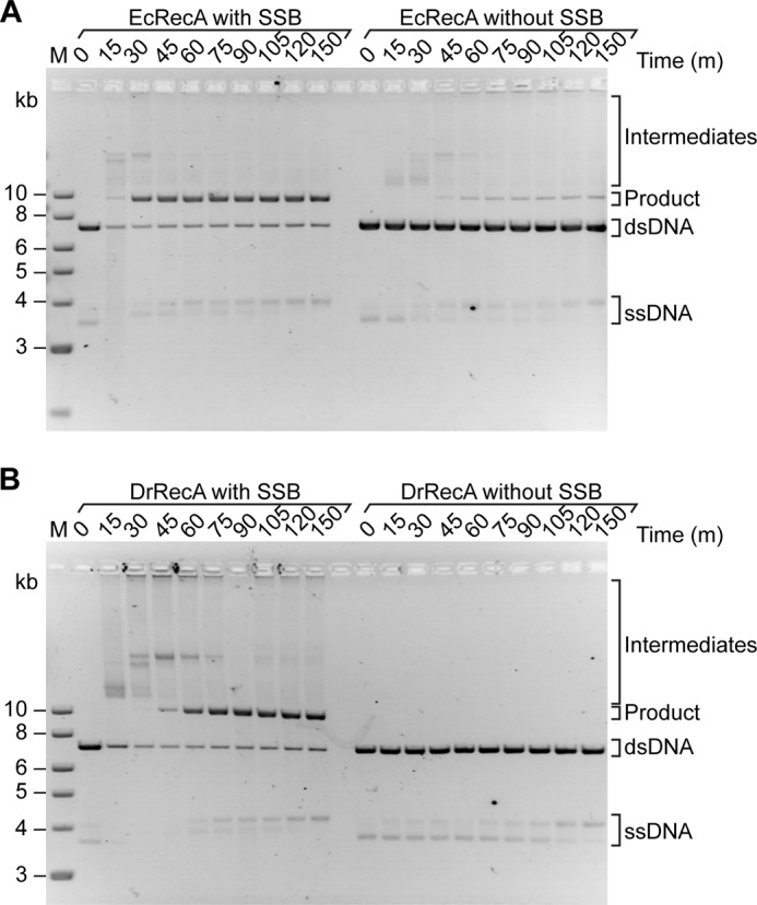 FIGURE 10.