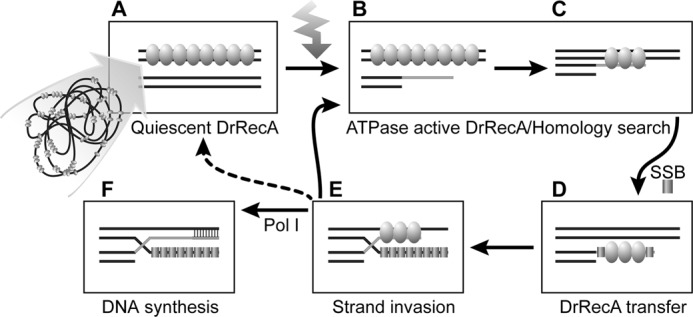 FIGURE 13.