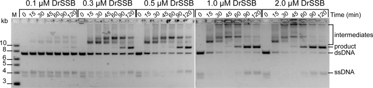 FIGURE 12.