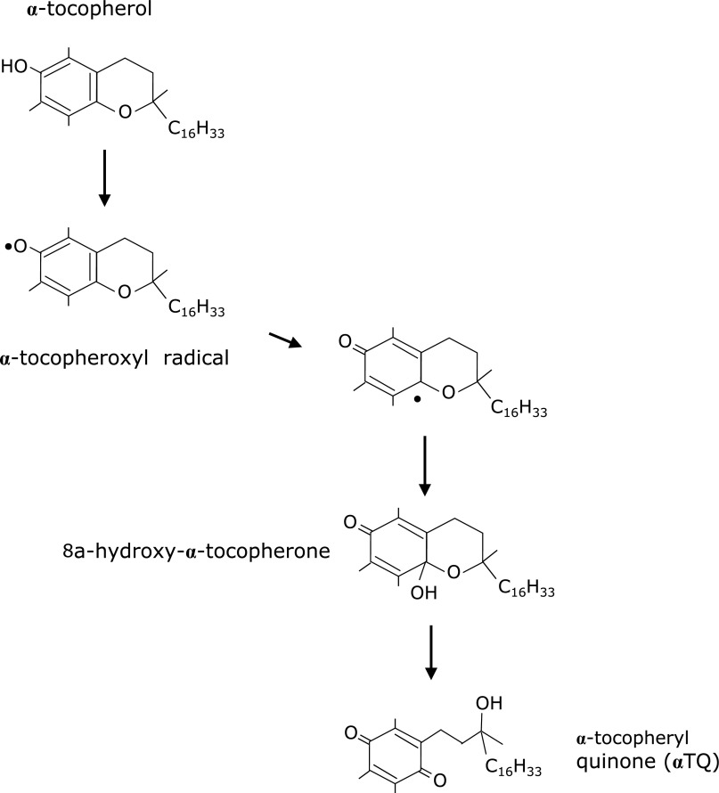 Fig. 6