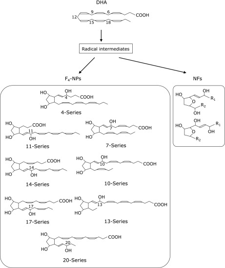 Fig. 3