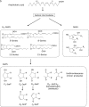 Fig. 2b