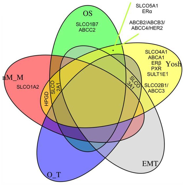 Figure 5