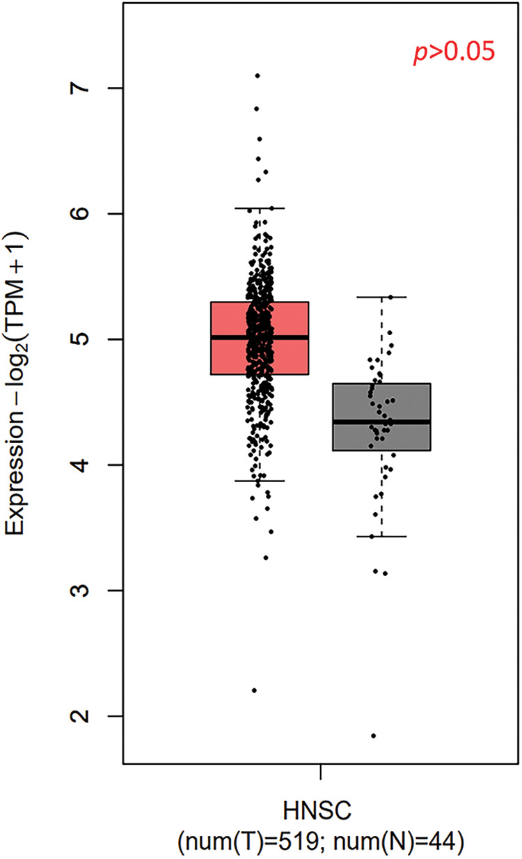 Supplementary Figure 1