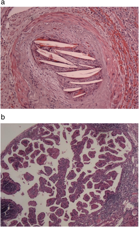 Fig. 5