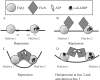 Figure 9.