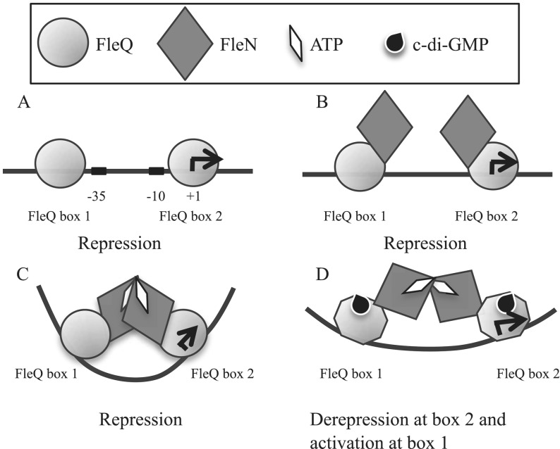 Figure 9.