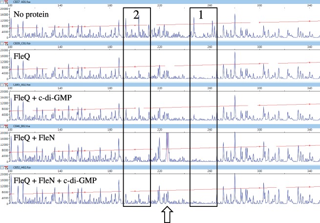 Figure 6.